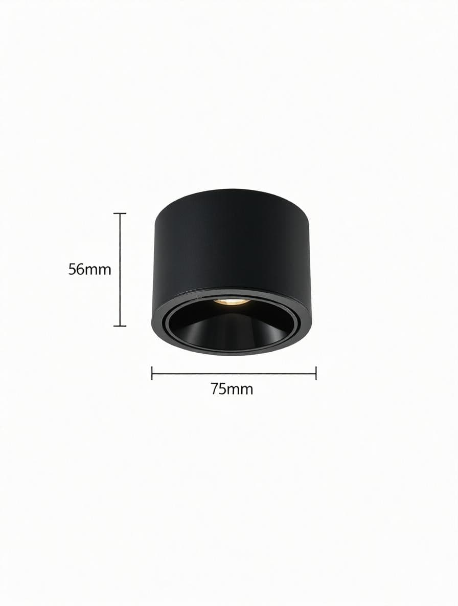 Jonvaleriae | Surface Mounted Light