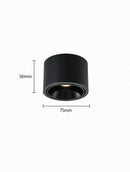 Jonvaleriae | Surface Mounted Light