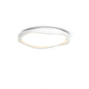 Jorwin Deux | Ceiling Mounted Light
