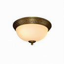 Seranoril | Ceiling Mounted Light