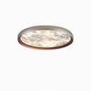 Elnirra | Ceiling Mounted Light