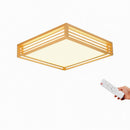 Iselwyn | Ceiling Mounted Light