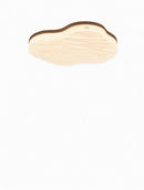 Torinell B | Ceiling Mounted Light