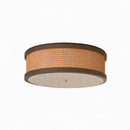 Schlies | Ceiling Mounted Light