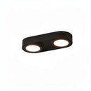 Aelindri | Surface Mounted Light