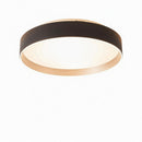 Moriwaki | Ceiling Mounted Light
