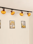 Bravonira Deux | Track Light