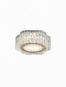 Malvenor | Ceiling Mounted Light