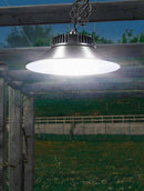 Helarisse | Outdoor Pendant Light