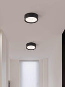 Lorvinthera | Surface Mounted Light