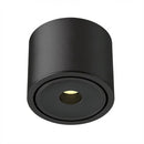 Ysolenyae Deux | Surface Mounted Light