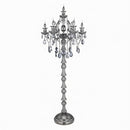 Daryntha I Crystal Floor Lamp