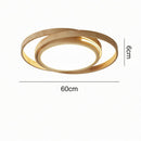 Voryselle | Ceiling Mounted Light