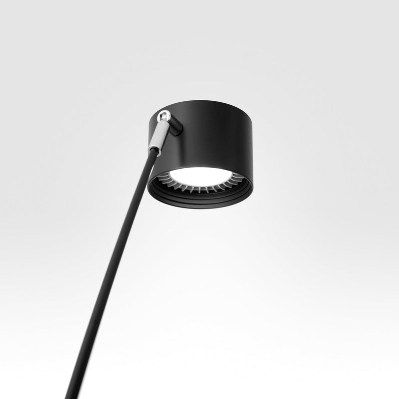 Tendre | Modern LED Floor Lamp