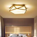 Daelisara | Ceiling Mounted Light