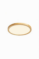 Rozner Une | Ceiling Mounted Light
