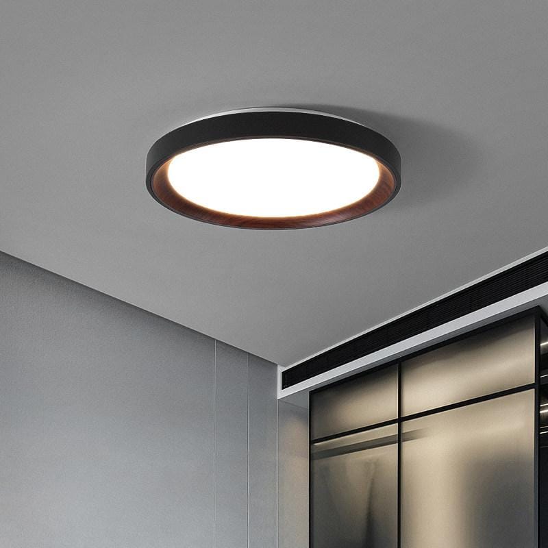 Blunden | Ceiling Mounted Light - Detail View #4 | HomeCartel