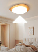 Trelisun | Ceiling Mounted Light