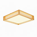 Iselwyn | Ceiling Mounted Light