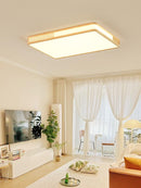 Renvali R | Ceiling Mounted Light