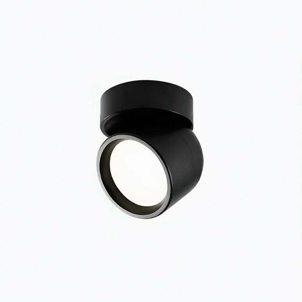 Jorvenithae | Surface Mounted Light