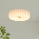 Olshan | Ceiling Mounted Light