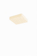 Dimittie D | Ceiling Mounted Light