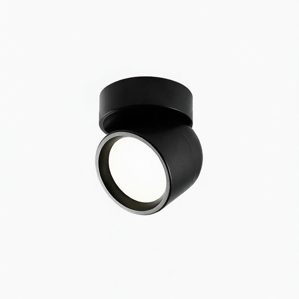 Jorvenithae | Surface Mounted Light