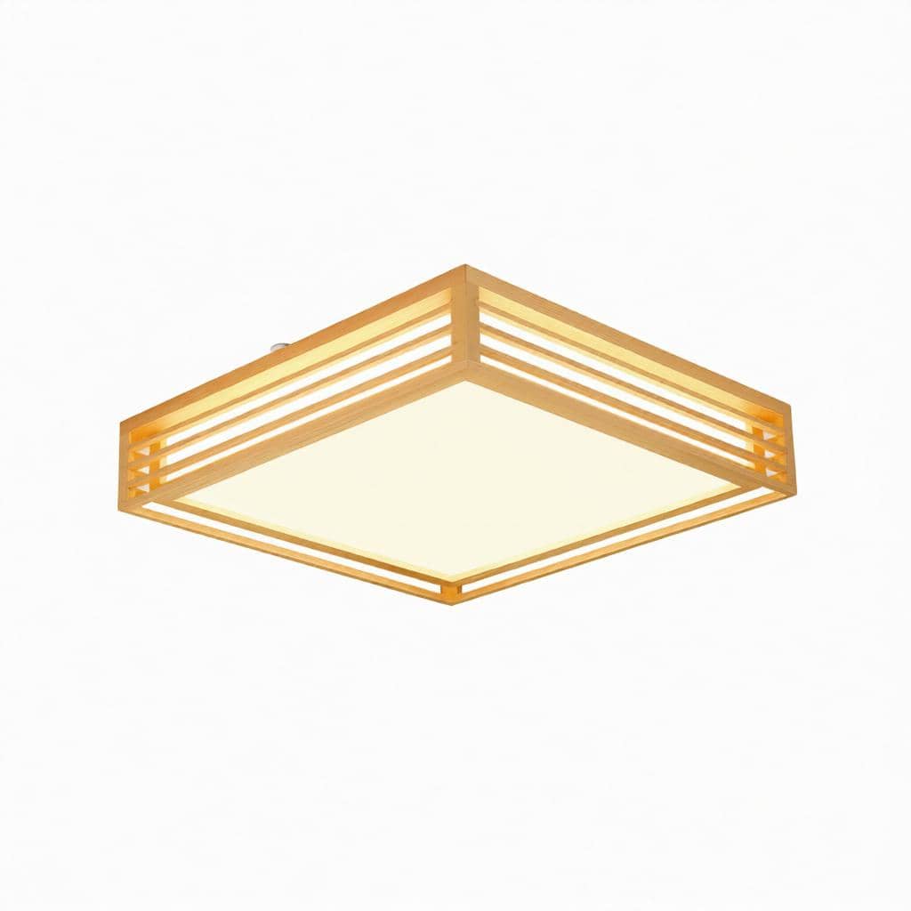Iselwyn | Ceiling Mounted Light