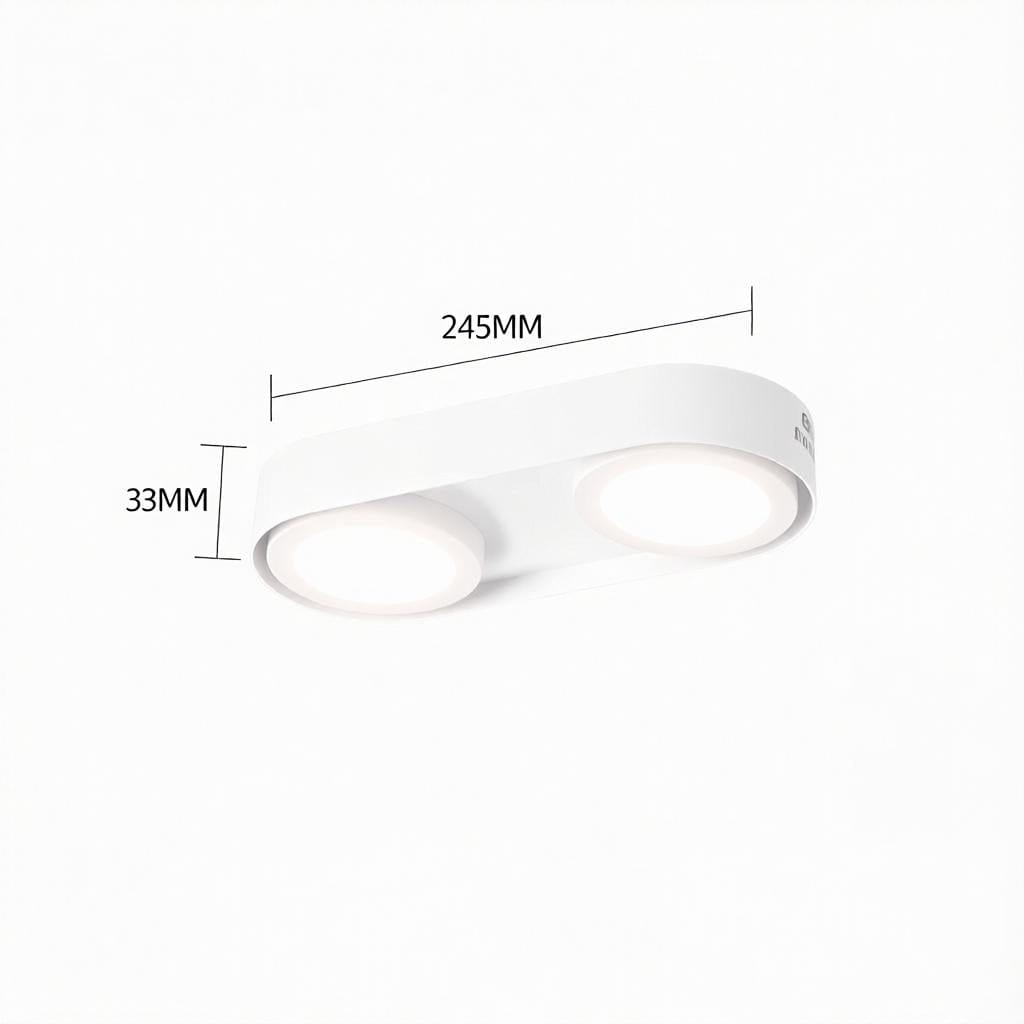 Aelaris | Surface Mounted Light