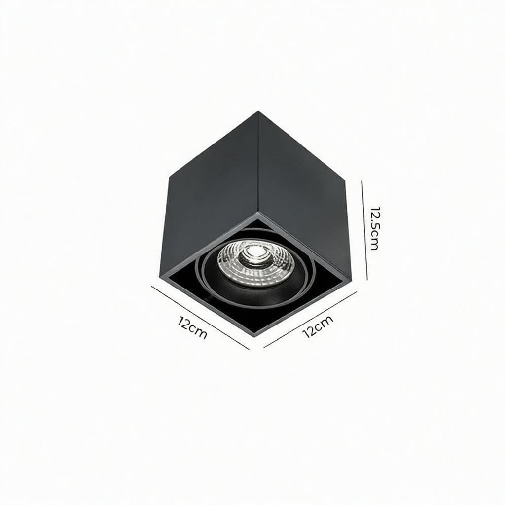 Luravynor Une | Surface Mounted Light