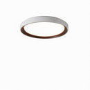 Blunden | Ceiling Mounted Light