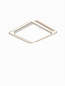 Ithaniel C | Ceiling Mounted Light