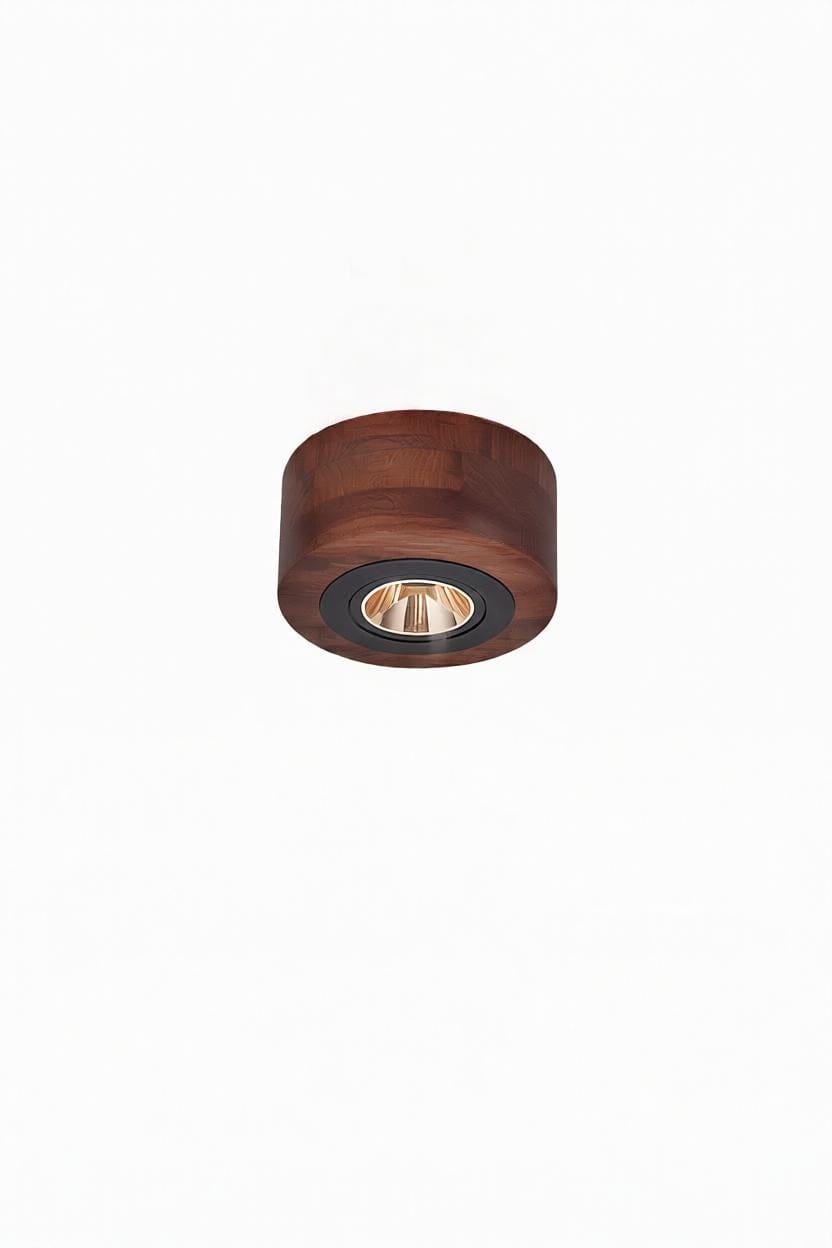 Brynvalien | Surface Mounted Light - Modern ARCHITECTURAL INDOOR | HomeCartel Philippines