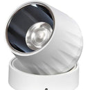 Banjo |  Surface Mounted Spotlight