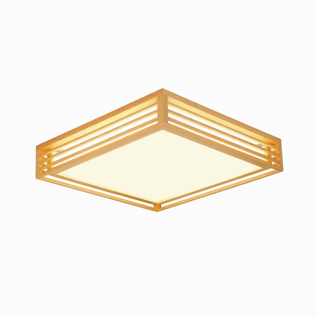 Iselwyn | Ceiling Mounted Light