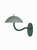 Iaelwynne I Wall Light