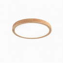 Drennale C | Ceiling Mounted Light