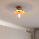Maelisre I Semi Flush Mounted Light