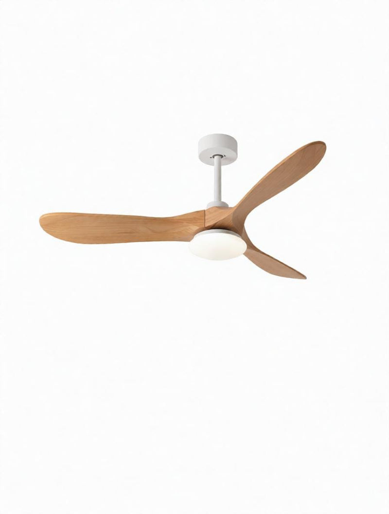 Penoril | Outdoor Lighted Ceiling Fan