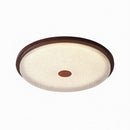 Elthain B | Ceiling Mounted Light