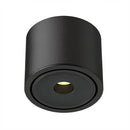 Ysolenyae Deux | Surface Mounted Light