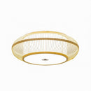 Lyrranve | Ceiling Mounted Light