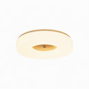 Lirianne | Ceiling Mounted Light