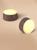 Torvenlysae | Surface Mounted Light