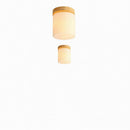 Elowynar I Semi Flush Mounted Light