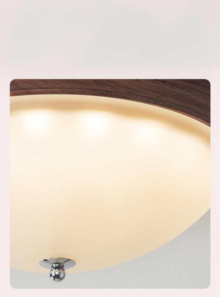 Darielys | Ceiling Mounted Light - Detail View #5 | HomeCartel