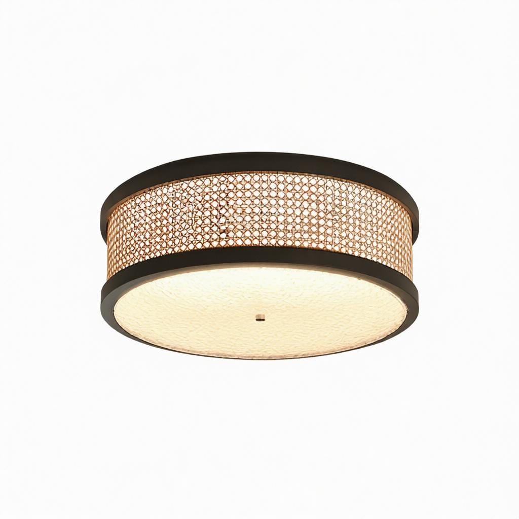 Schlies | Ceiling Mounted Light
