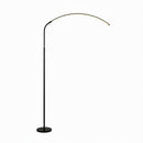 Parvelyn | Floor Lamp