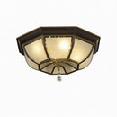 Syrenrae | Ceiling Mounted Light